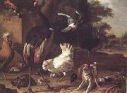 Melchior de Hondecoeter Birds and a Spaniel in a Garden (mk25) oil